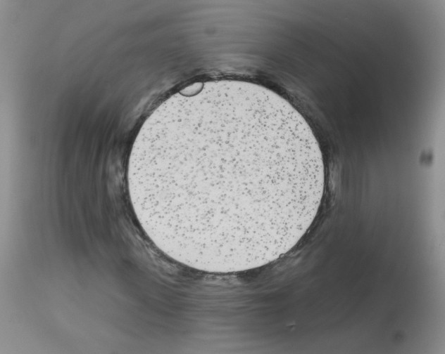 X0000113080915200910091228