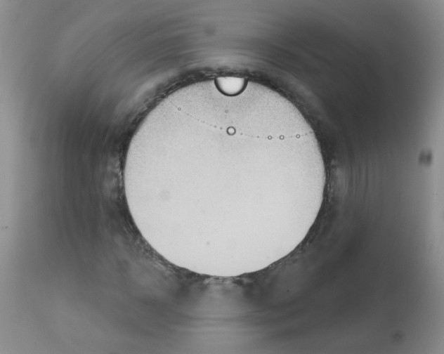 X0000113080918200910091228