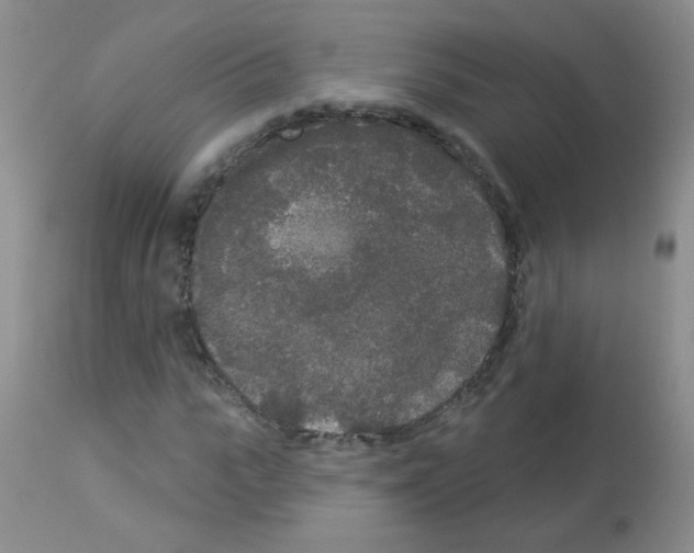 X0000113080919200910091228