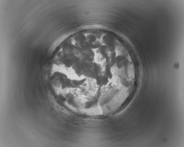 X0000113080921200910091228