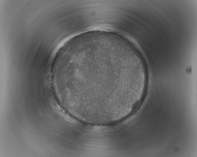 X0000113080923200910091228
