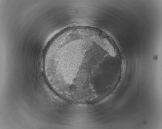 X0000113080925200910091228