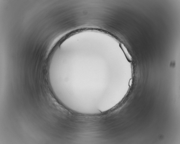 X0000113080926200910091228