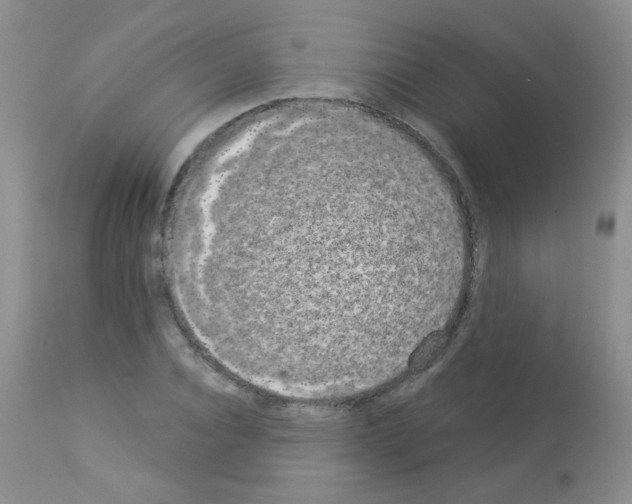 X0000113080928200910091228