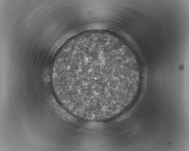 X0000113080929200910091228