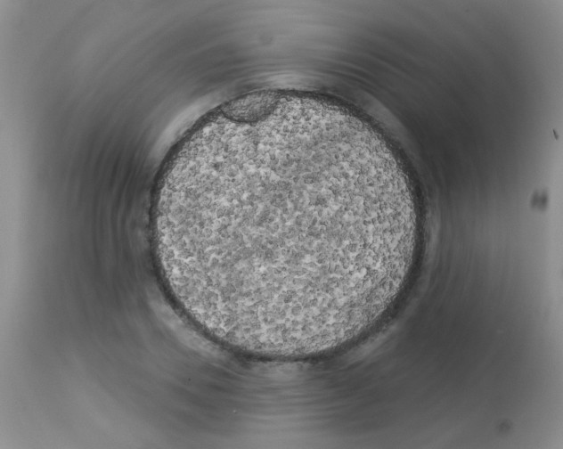 X0000113080930200910091228