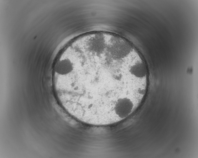 X0000113080931200910091228