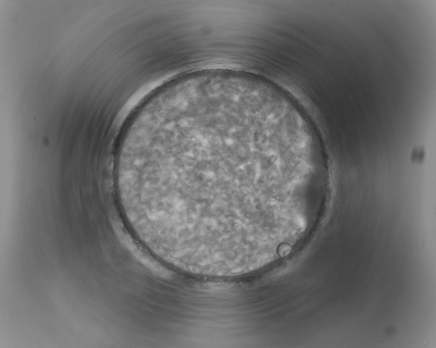 X0000113080933200910091228