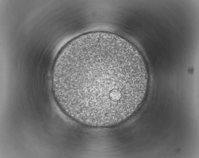 X0000113080936200910091228
