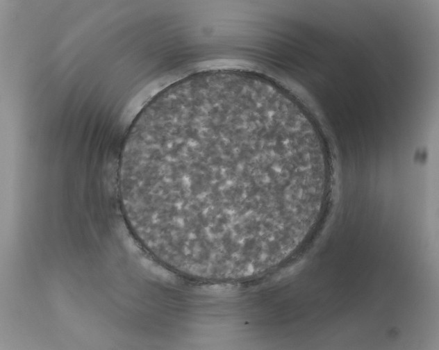 X0000113080937200910091228