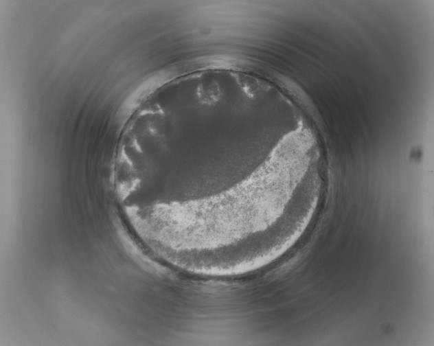 X0000113080938200910091228
