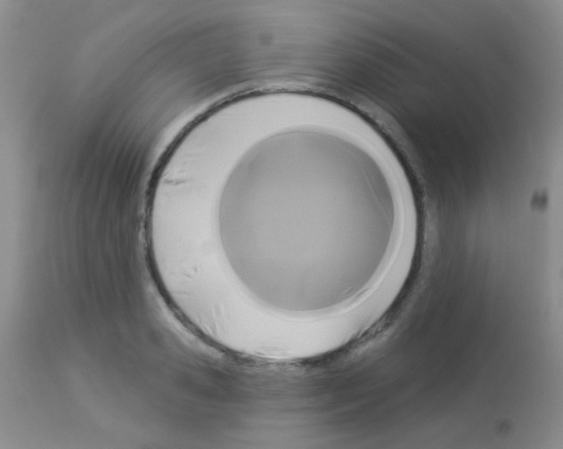 X0000113080941200910091228