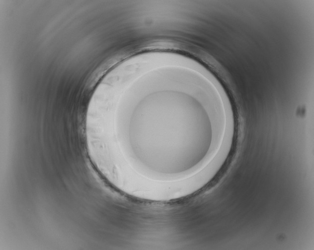 X0000113080945200910091228