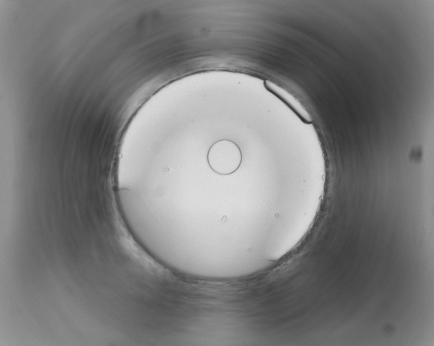 X0000113080946200910091228