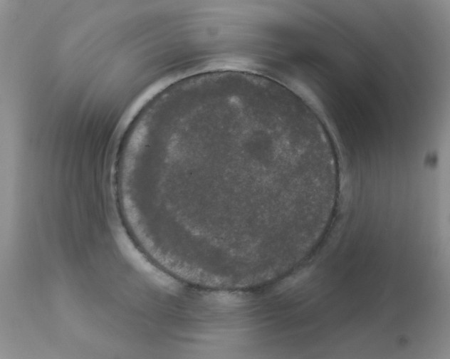 X0000113080947200910091228