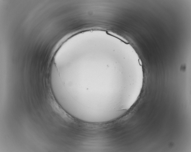 X0000113080948200910091228