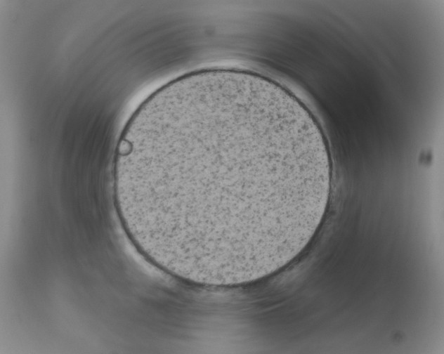 X0000113080951200910091229