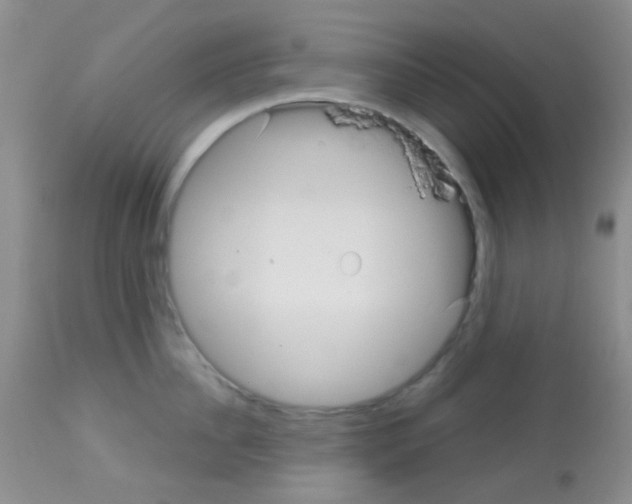 X0000113080956200910091229