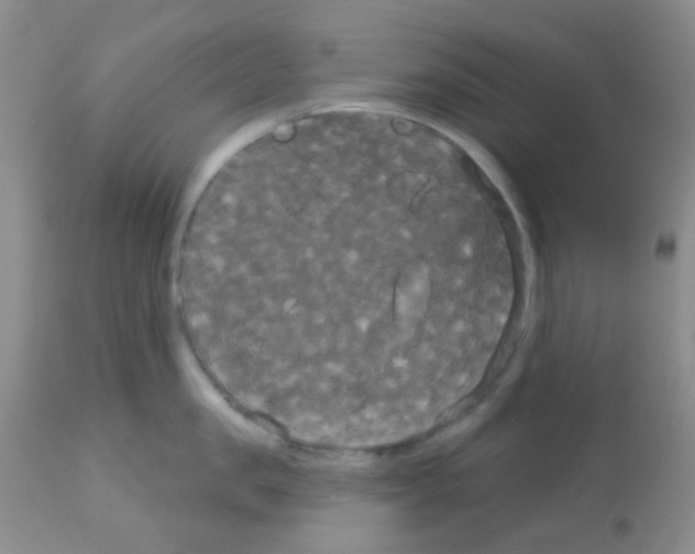 X0000113080957200910091229