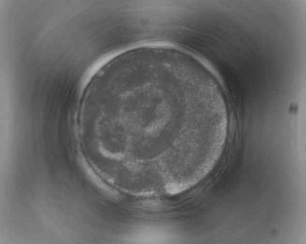 X0000113080959200910091229