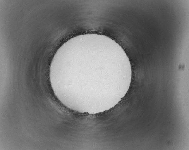 X0000113080961200910091228
