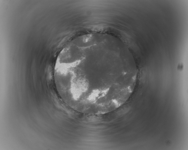 X0000113080962200910091228