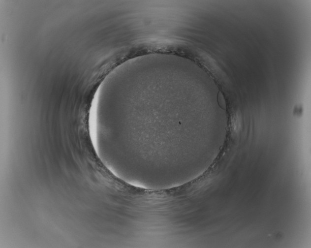 X0000113080964200910091228