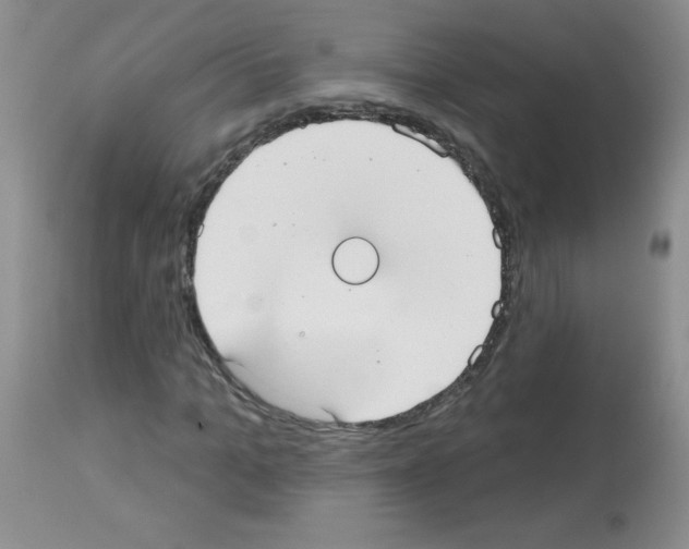 X0000113080965200910091228