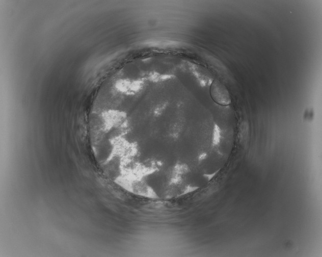 X0000113080966200910091228