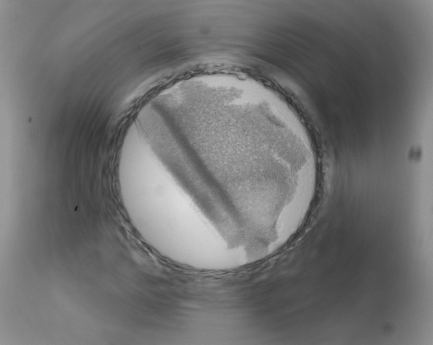 X0000113080968200910091228