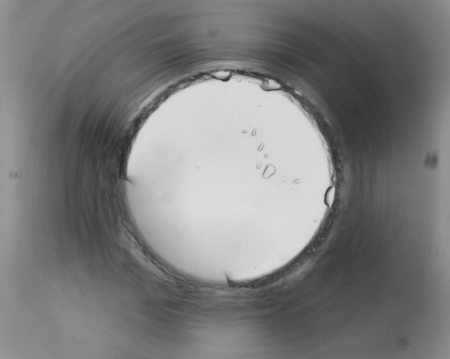 X0000113080969200910091228