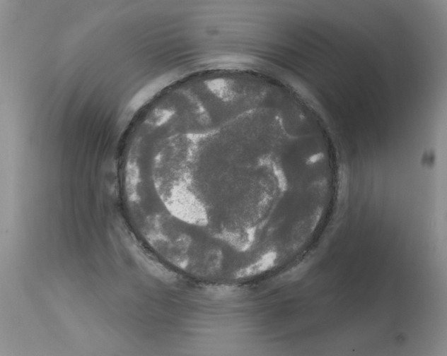 X0000113080970200910091228