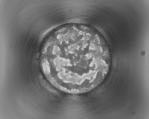 X0000113080971200910091228