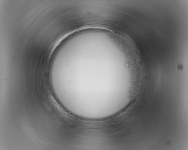 X0000113080972200910091228
