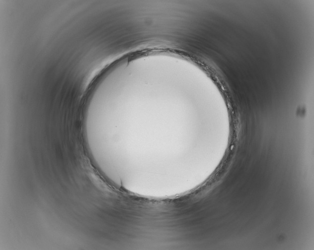 X0000113080973200910091228
