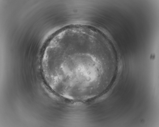 X0000113080974200910091228