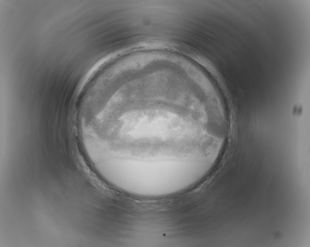 X0000113080976200910091228