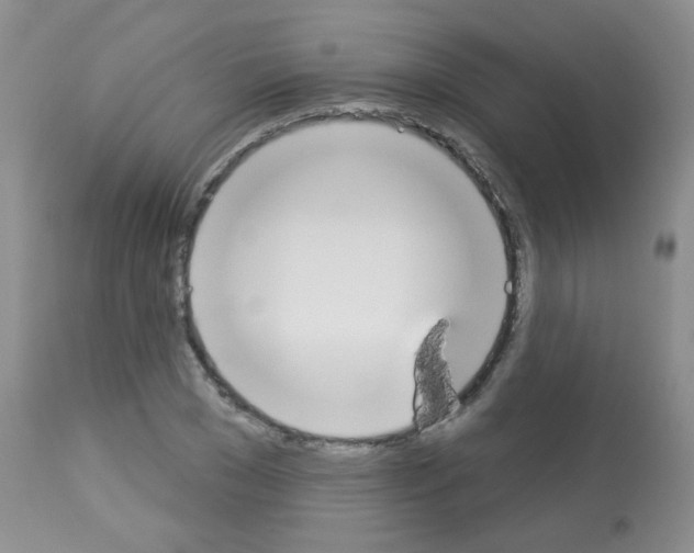 X0000113080977200910091228