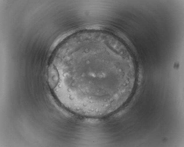 X0000113080978200910091228