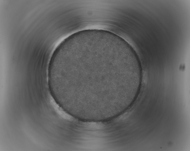 X0000113080980200910091228