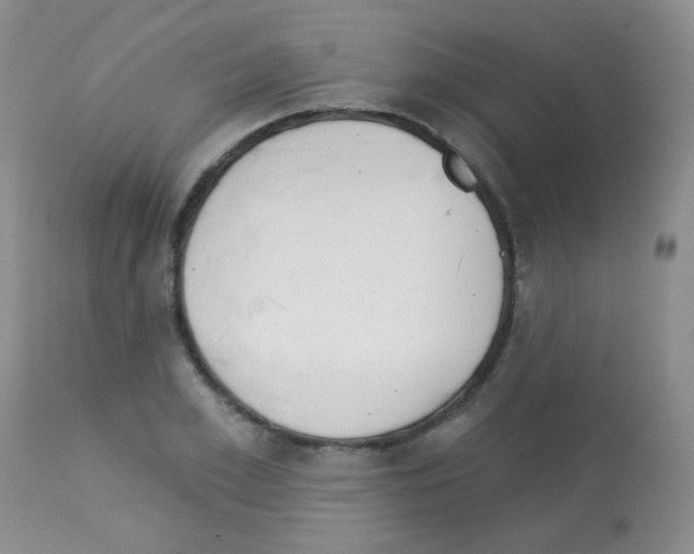 X0000113080981200910091228