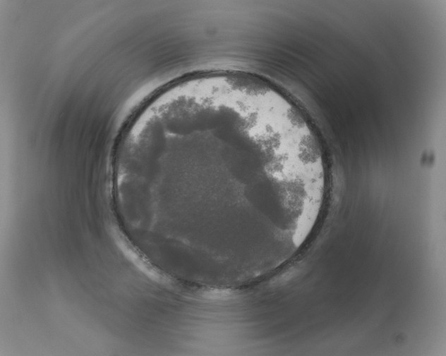 X0000113080982200910091228