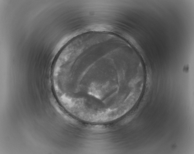 X0000113080986200910091227