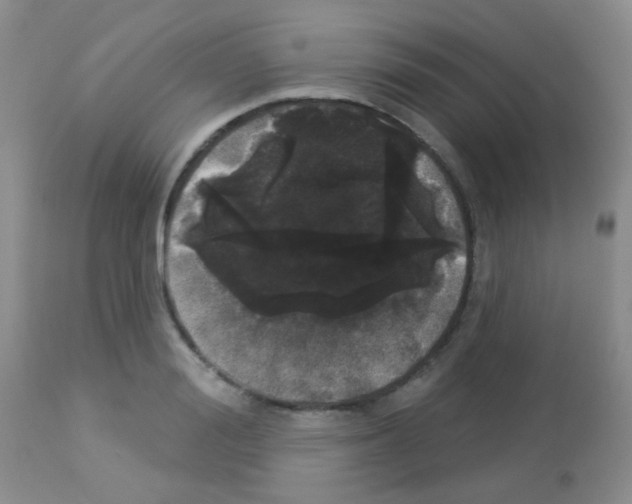 X0000113080988200910091227