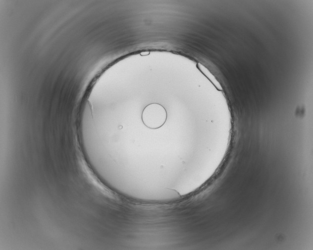 X0000113080989200910091227