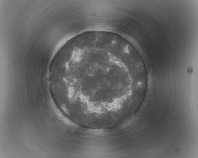 X0000113080990200910091227