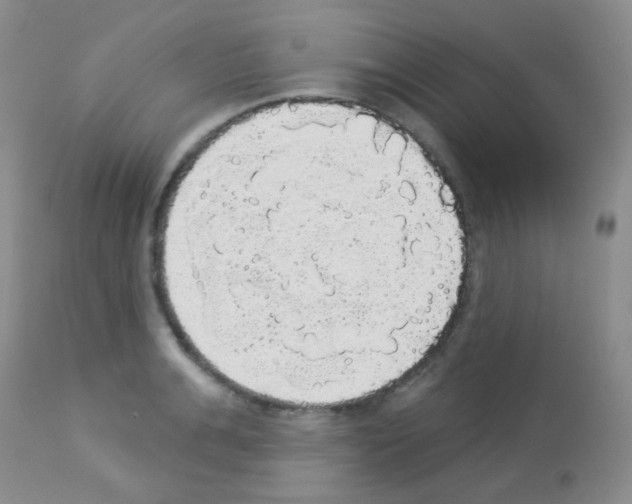 X0000113080991200910091227