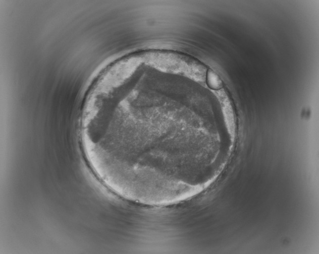 X0000113080992200910091227
