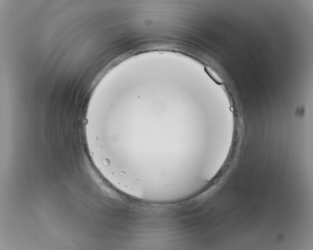 X0000113080993200910091227