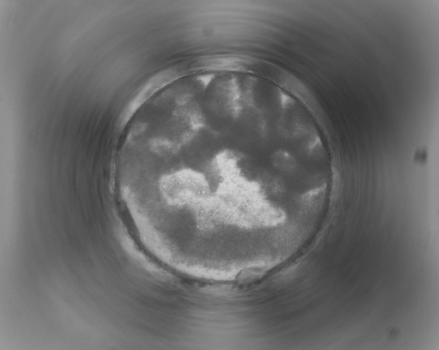 X0000113080994200910091227